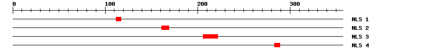 NLS