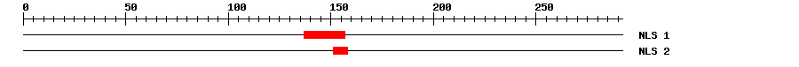 NLS