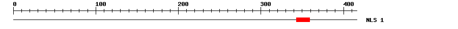 NLS