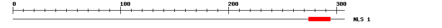 NLS