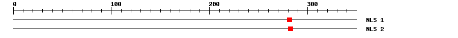 NLS