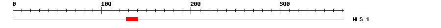 NLS