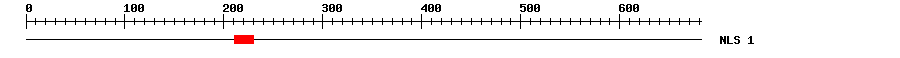 NLS