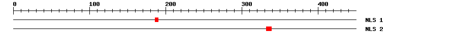 NLS