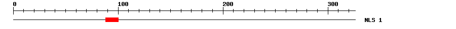 NLS