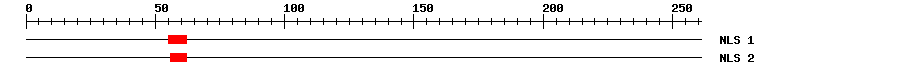 NLS