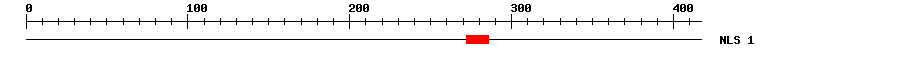 NLS