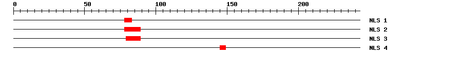 NLS