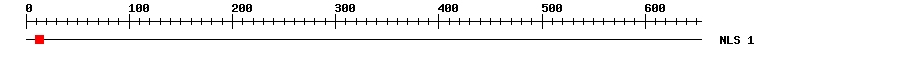 NLS
