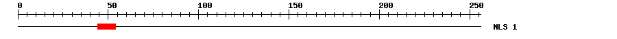 NLS
