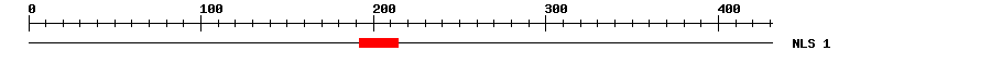NLS