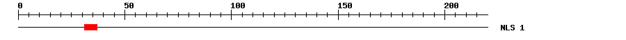NLS