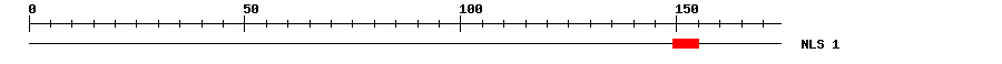 NLS