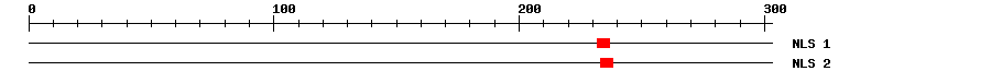 NLS