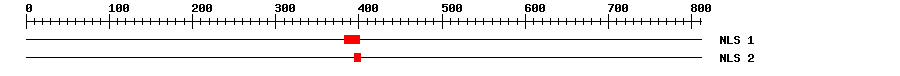 NLS