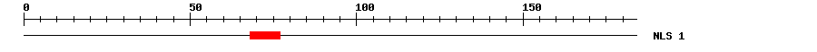 NLS