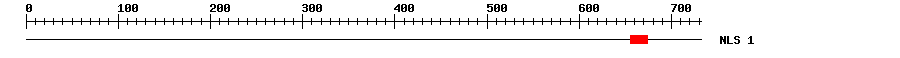 NLS
