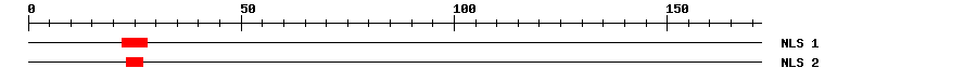 NLS