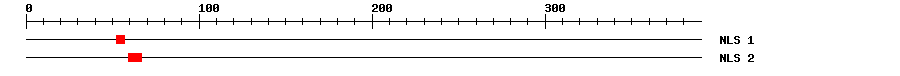 NLS