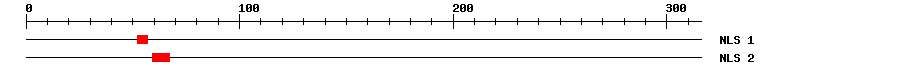 NLS