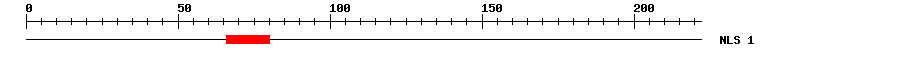NLS