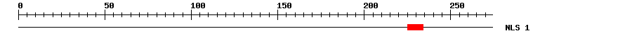 NLS