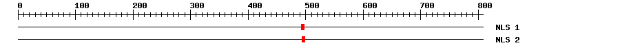 NLS