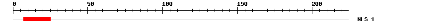 NLS