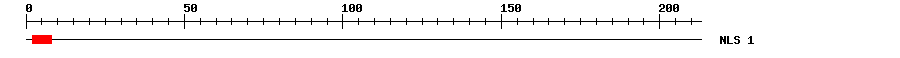 NLS