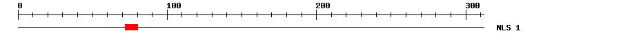 NLS