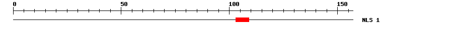 NLS