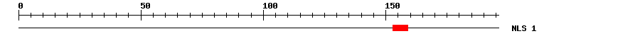 NLS