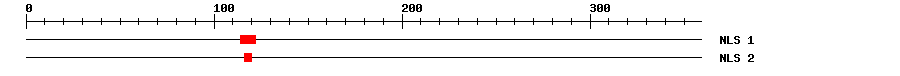 NLS