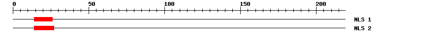 NLS