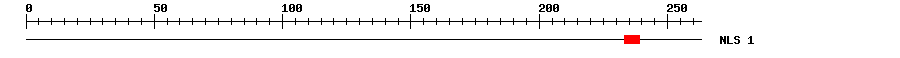 NLS