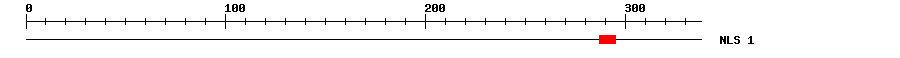 NLS