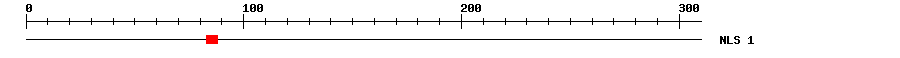 NLS