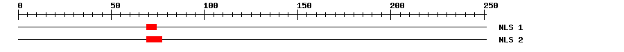 NLS