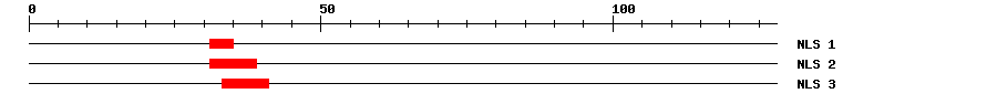 NLS