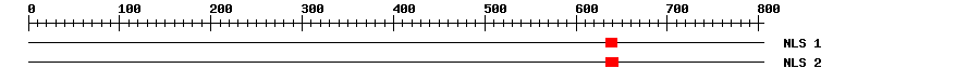 NLS