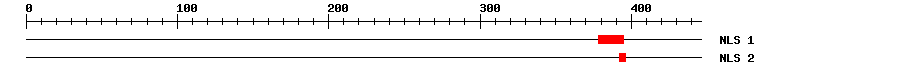 NLS