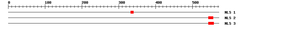 NLS