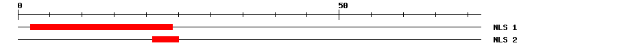 NLS