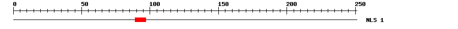 NLS