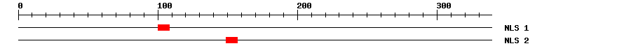 NLS
