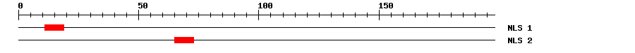 NLS