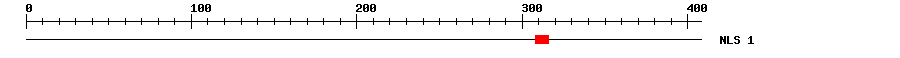 NLS