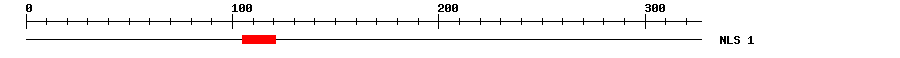 NLS