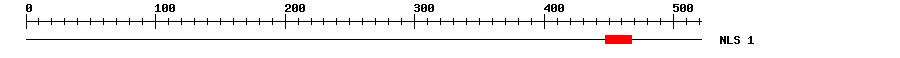 NLS