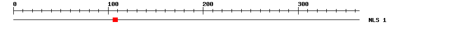 NLS
